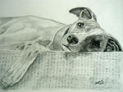 My drawing of Bitzer relaxing on the stairs!
