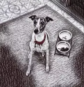 food lola ciotole bowls