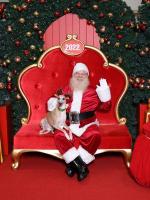 meeko and santa christmas