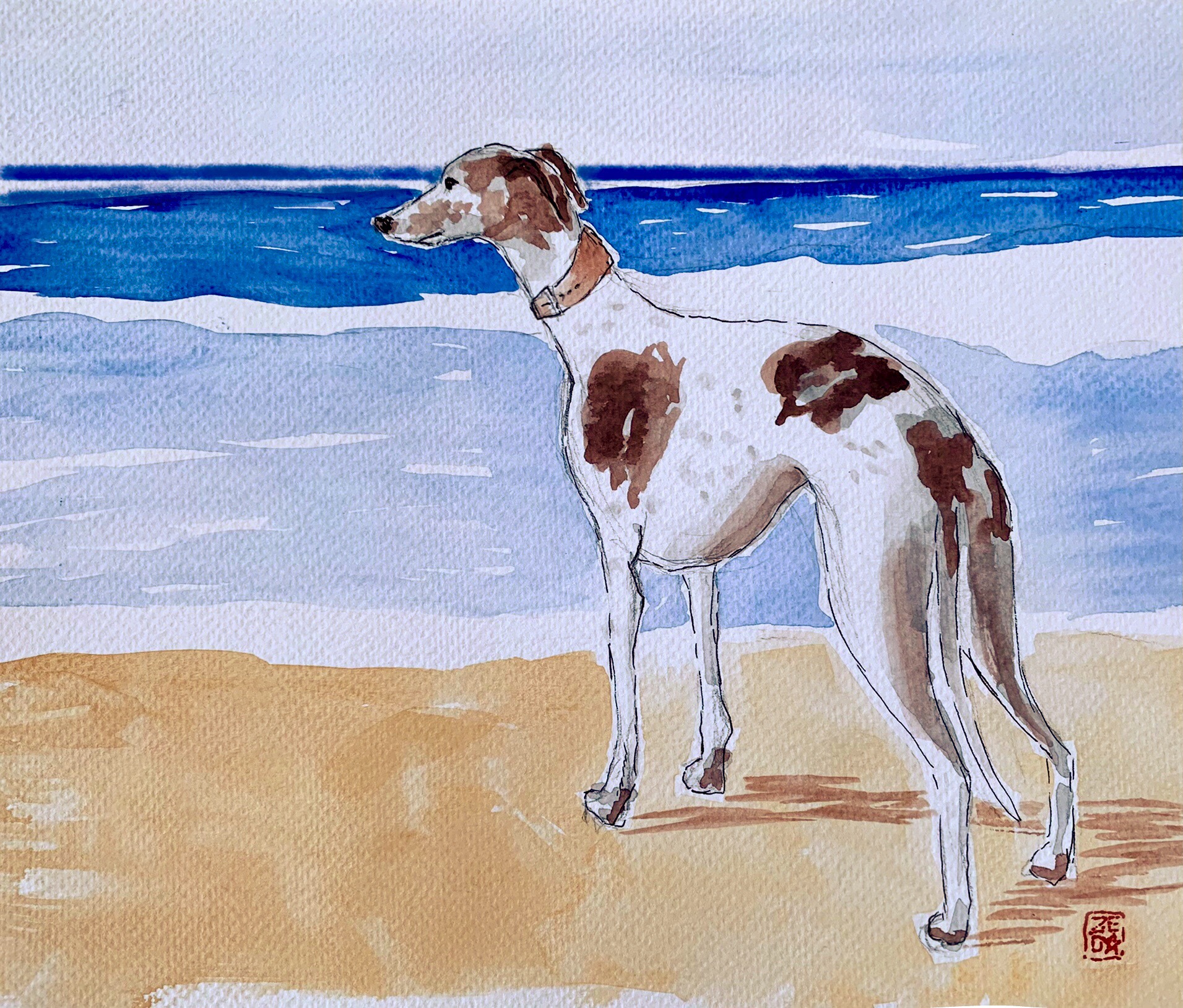 whippet at the beach watercolour