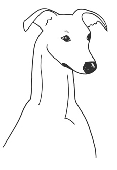 whippet clipart, whippet head