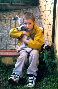 Bringing a whippet deals puppy home
