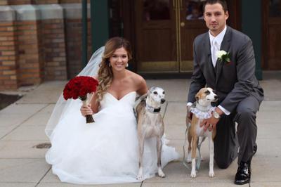 Wedding Whippets!