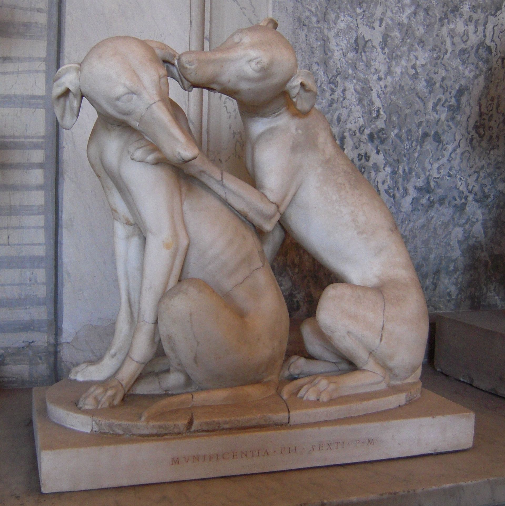 greyhound Vatican large