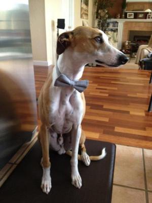 Ready for the ball! (pun intended)