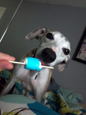 popsicle thief
