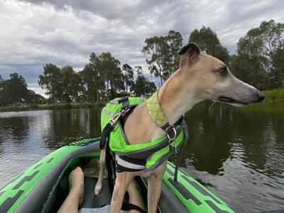 Kayaking together