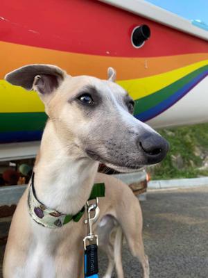 Glam shot at the beach