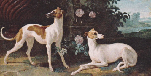 famous whippets