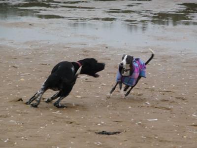 Playing with her boyfriend Ollie.