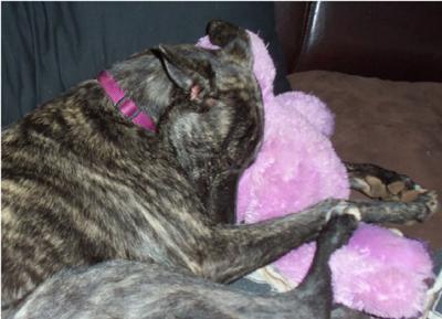 Pepper sleeps with her teddy bear.