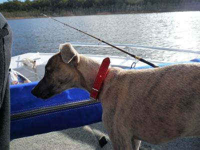 In the boat