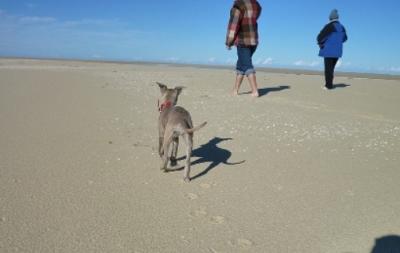 On the sand