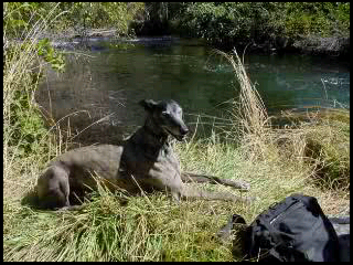 Nude Sunbathing