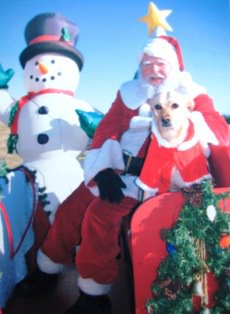 Sandy Claus