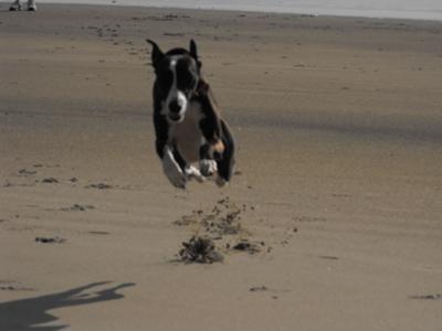 Running on the beach