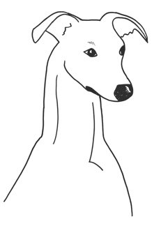 whippet clipart, whippet head