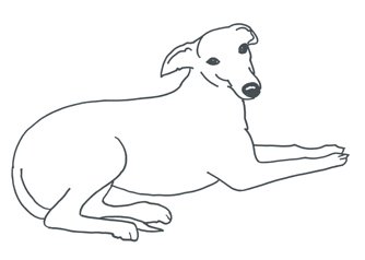 whippet clipart