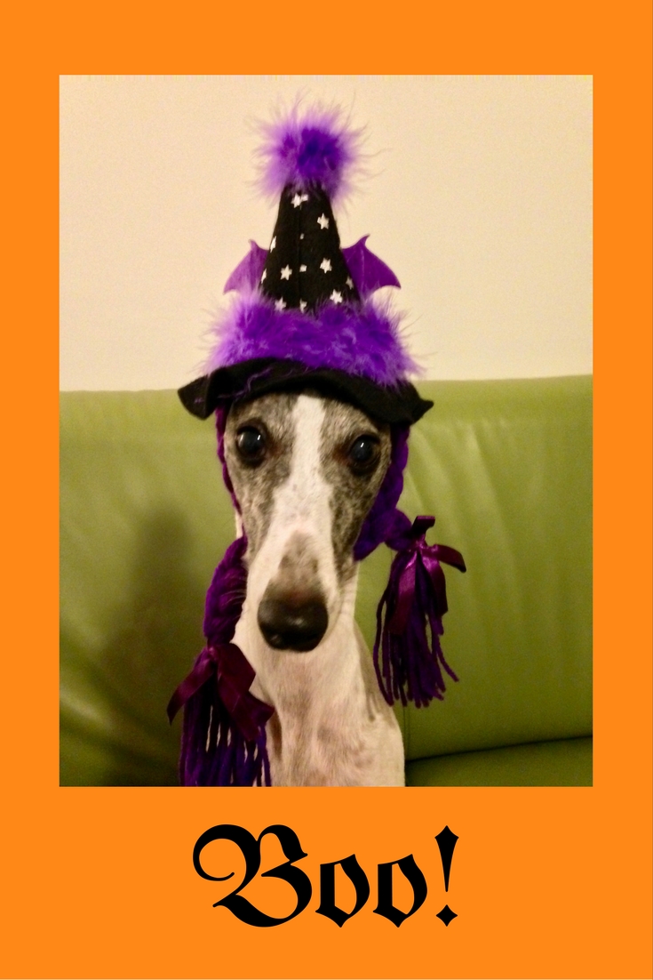 boo lola witch halloween