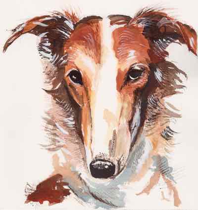 borzoi head watercolor vero mio