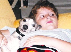 Whippet and child