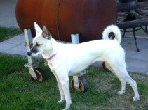 Viewing my territory