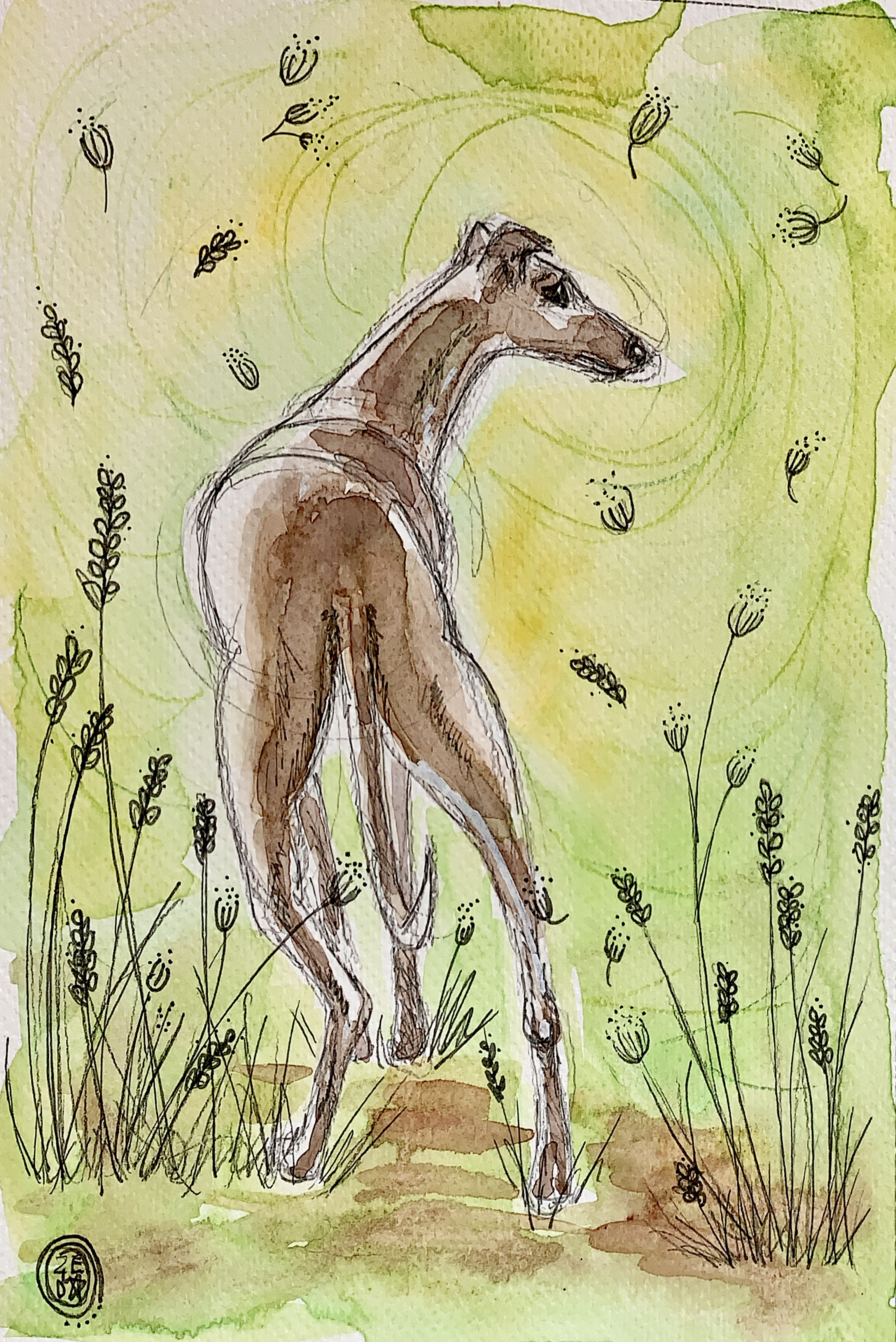 green whippet watercolour