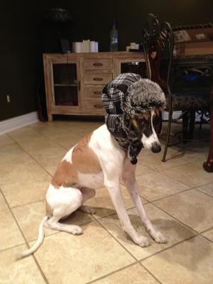 libo hunting hat