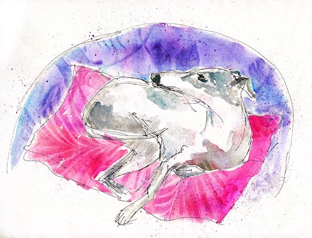 lola on garden chair watercolor