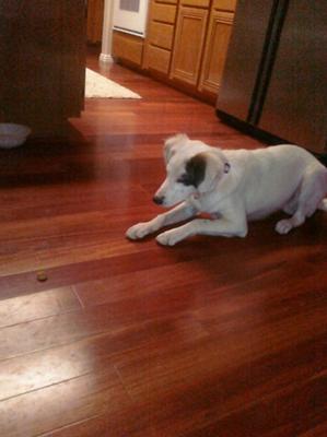 This is his 