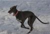 Snow Fun