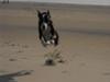 Running on the beach
