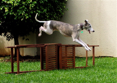 camb jump 400
