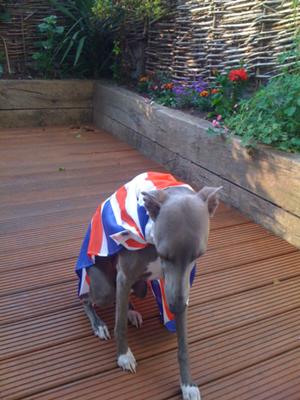 Ferris practicing his bow for the royal wedding