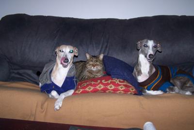 Tash , Fred and one lucky Rykky