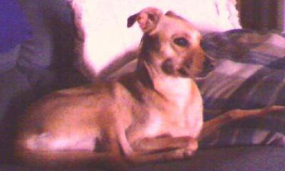 Sandy watching Uncle Si on Duck Dynasty (her favorite) 