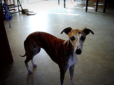 Is that treat for me?